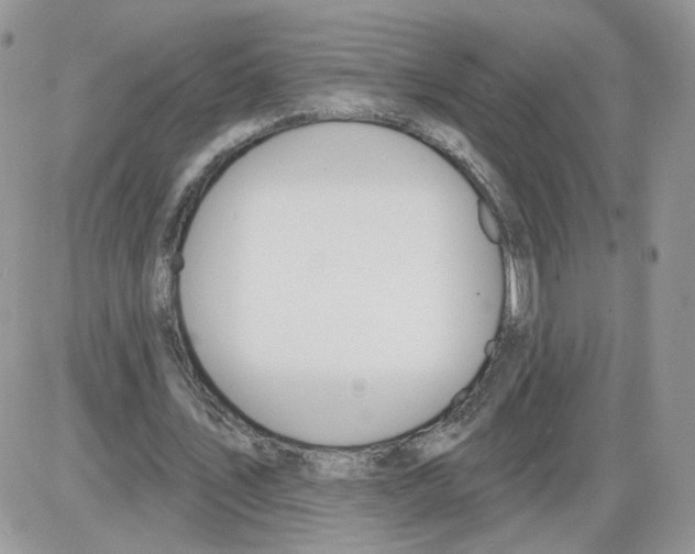 X0000086070579200704202128