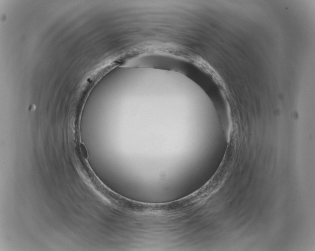 X0000086070581200704202128