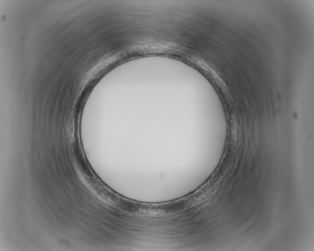 X0000086070582200704202128