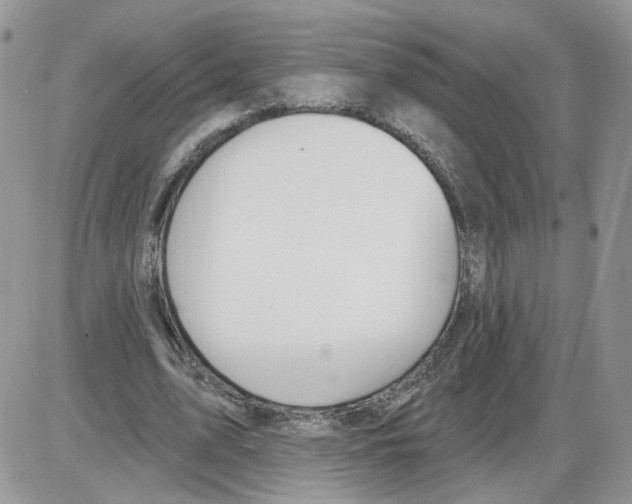 X0000086070583200704202128