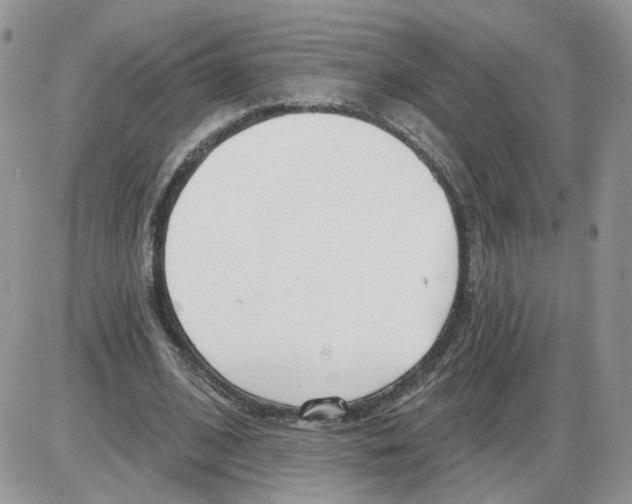 X0000086070584200704202128