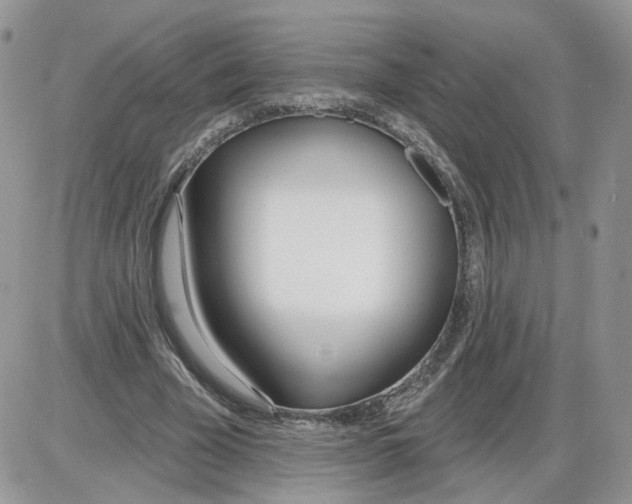 X0000086070585200704202128