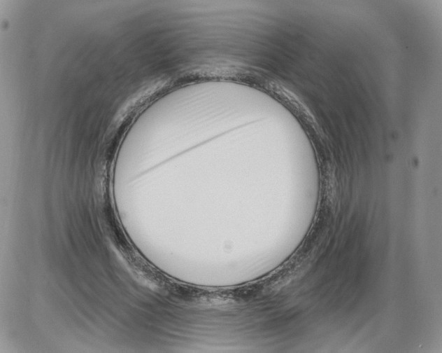 X0000086070586200704202128