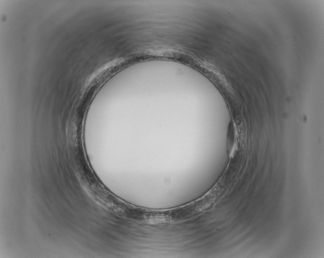 X0000086070587200704202128