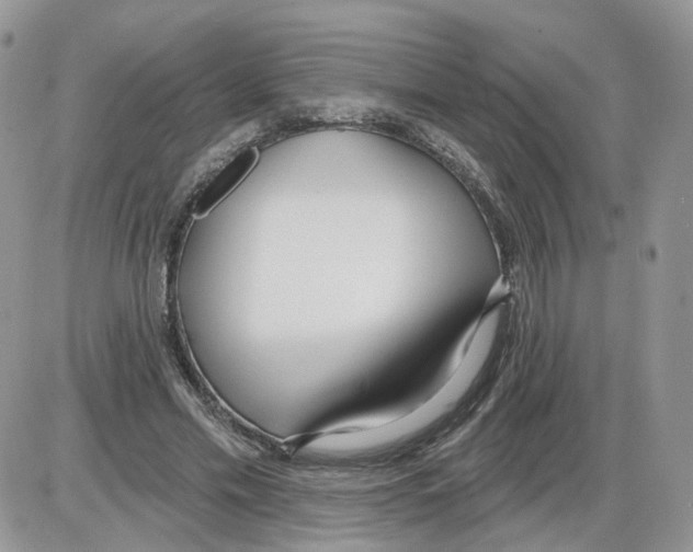 X0000086070589200704202128