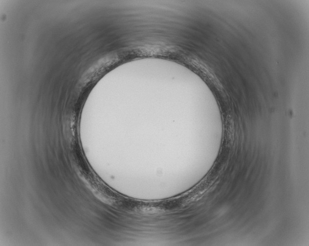 X0000086070590200704202128