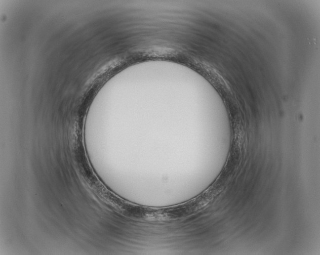 X0000086070591200704202128