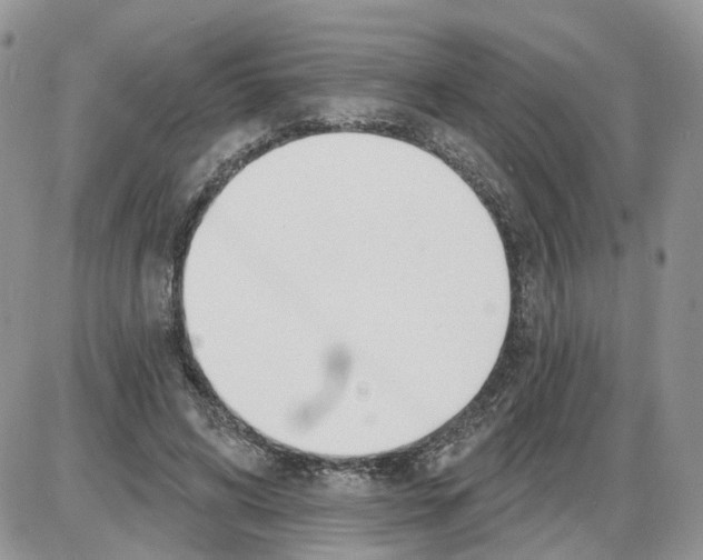 X0000086070592200704202128