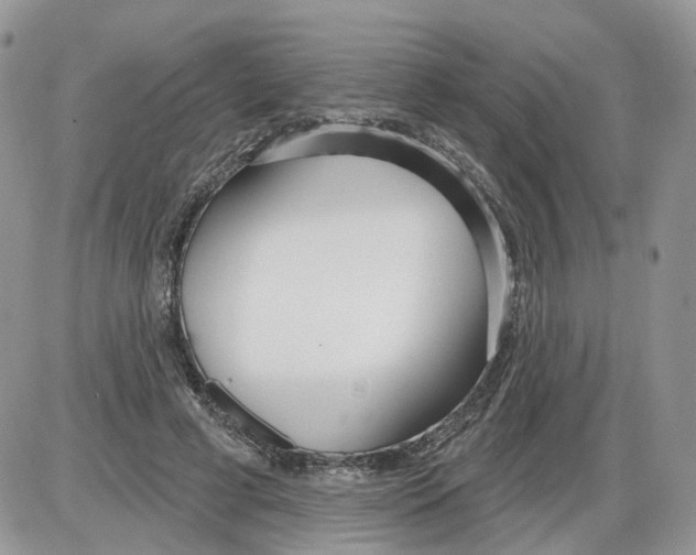 X0000086070593200704202128