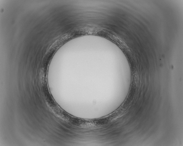 X0000086070594200704202128