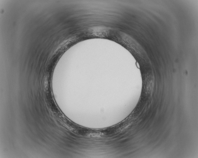 X0000086070595200704202128