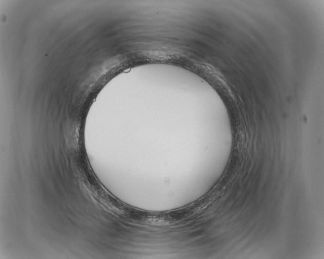 X0000086070596200704202128