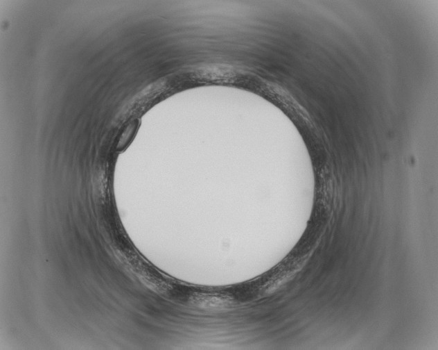 X0000086070597200704202128