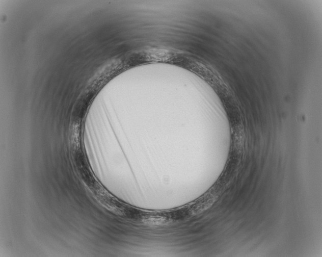 X0000086070598200704202128