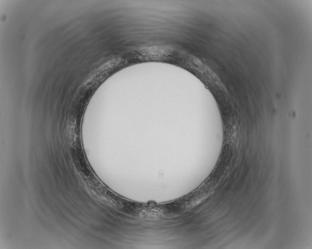 X0000086070599200704202128