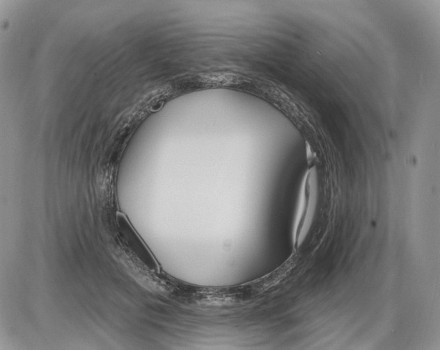 X0000086070601200704202128