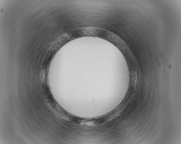 X0000086070602200704202128