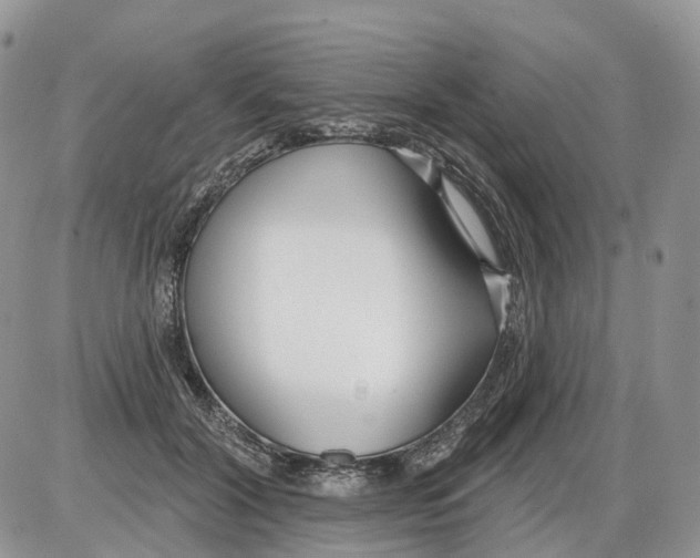 X0000086070604200704202128