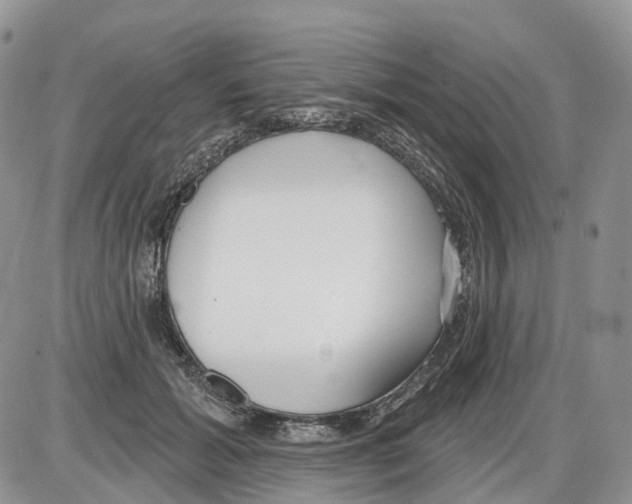 X0000086070605200704202128