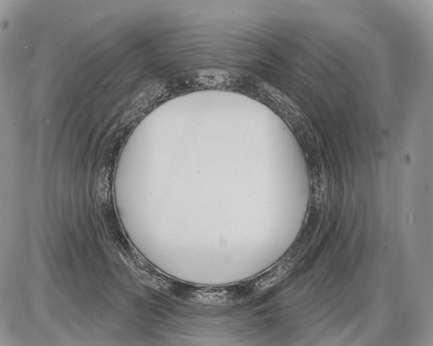 X0000086070606200704202128