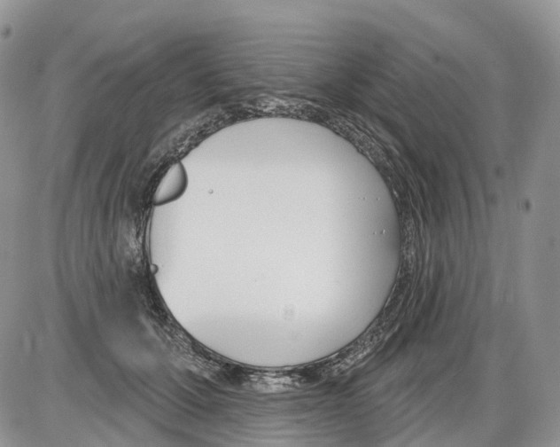 X0000086070607200704202128