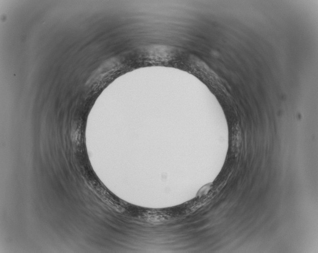 X0000086070608200704202128