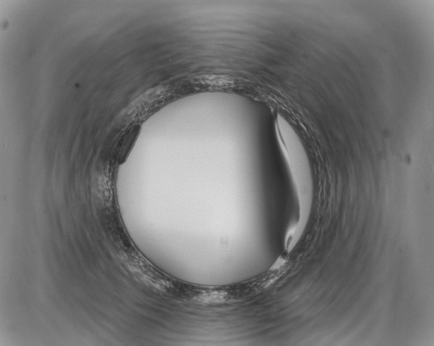 X0000086070609200704202128