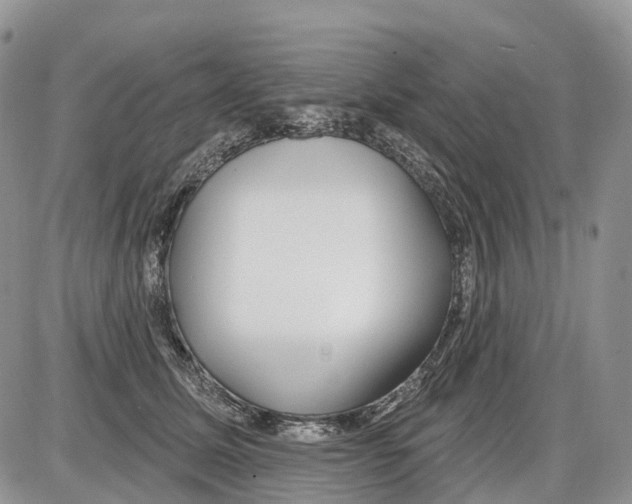 X0000086070611200704202128