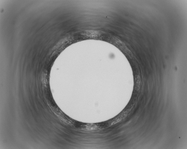 X0000086070612200704202128