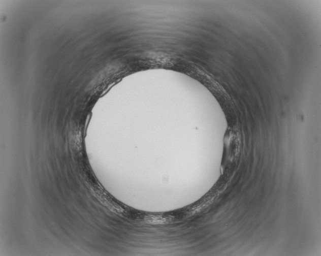 X0000086070613200704202128