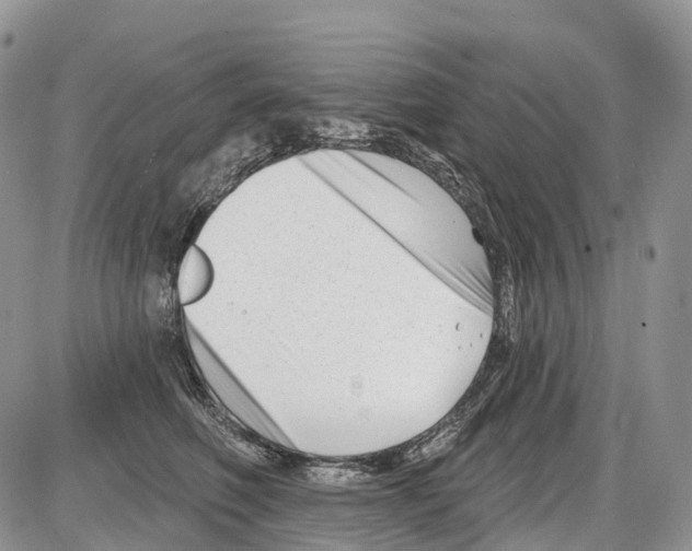 X0000086070614200704202128