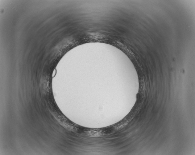 X0000086070615200704202128