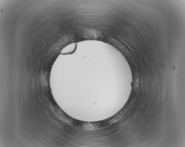 X0000086070616200704202128