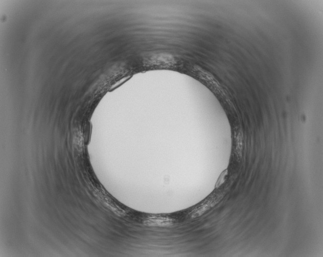 X0000086070617200704202128