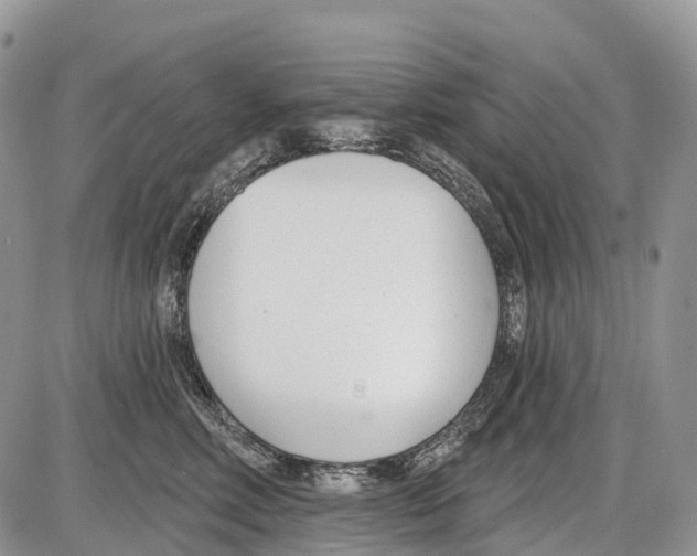 X0000086070618200704202128