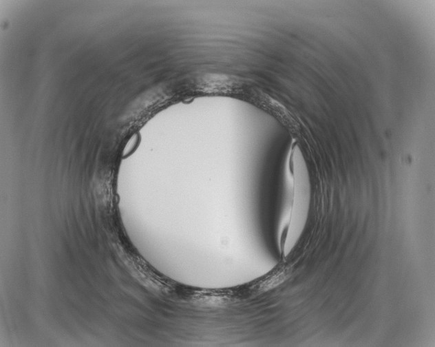 X0000086070620200704202128