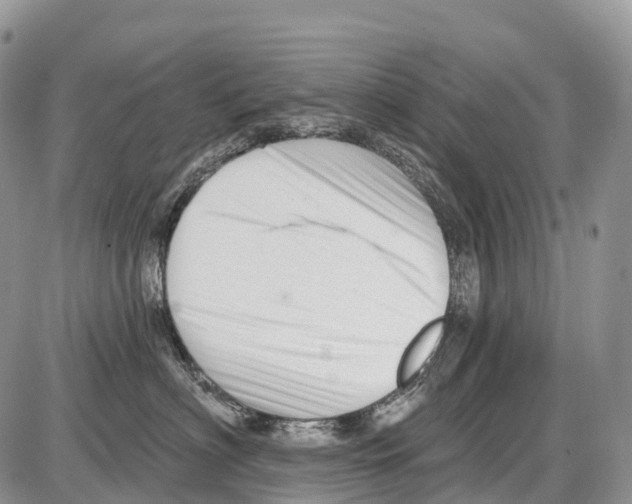 X0000086070622200704202128