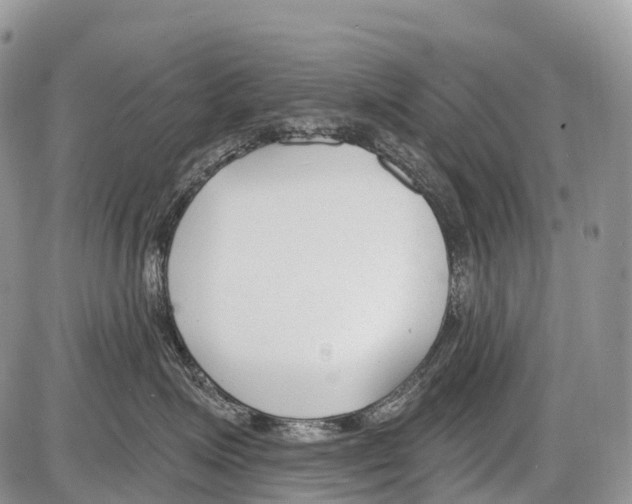 X0000086070623200704202128