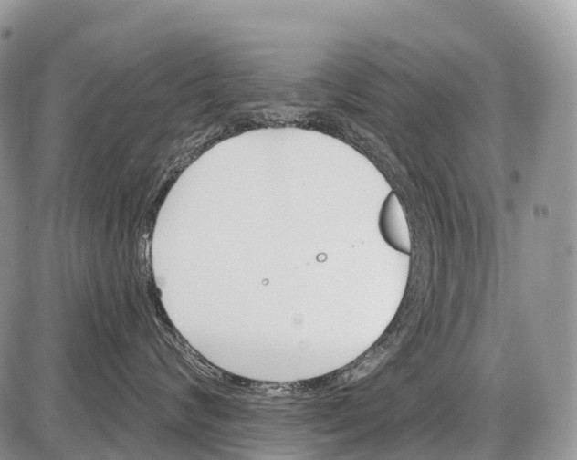 X0000086070624200704202128