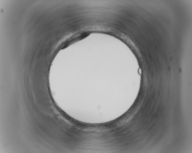 X0000086070625200704202127