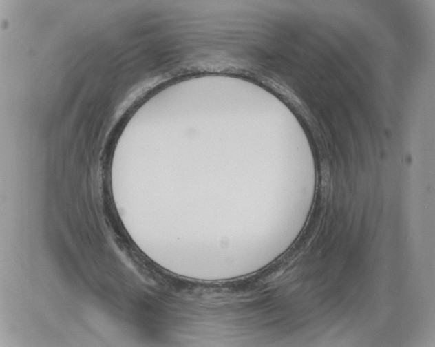 X0000086070626200704202127