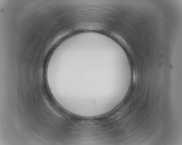 X0000086070627200704202127