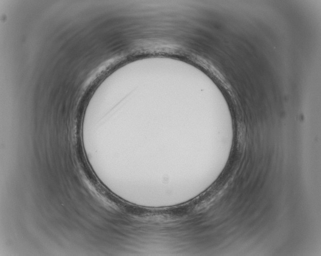 X0000086070629200704202127