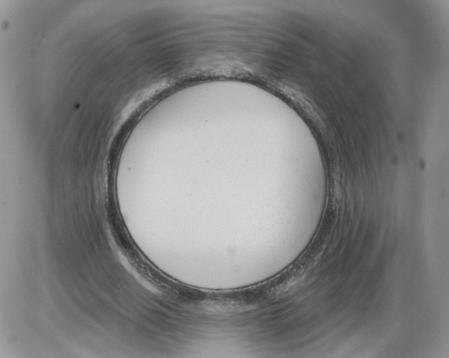 X0000086070630200704202127