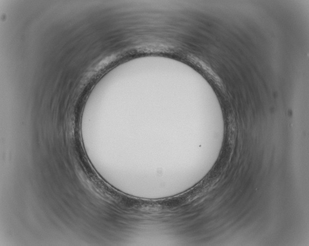 X0000086070631200704202127