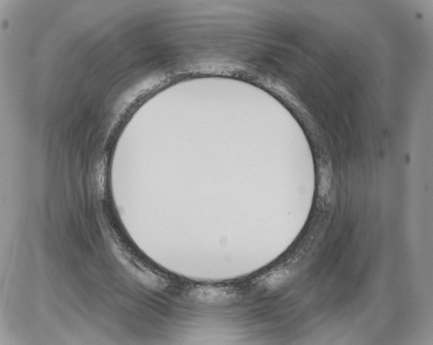 X0000086070632200704202127