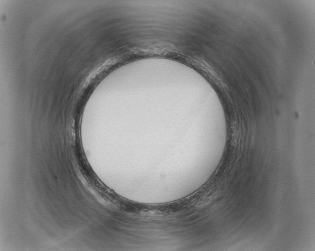 X0000086070634200704202127