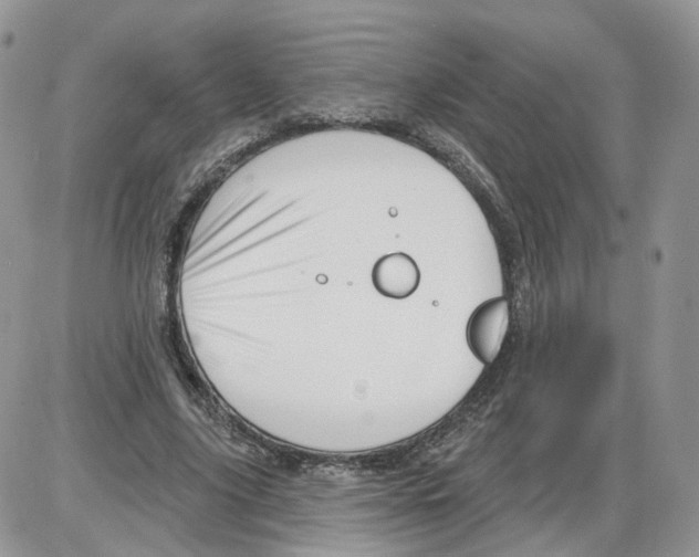 X0000086070635200704202127