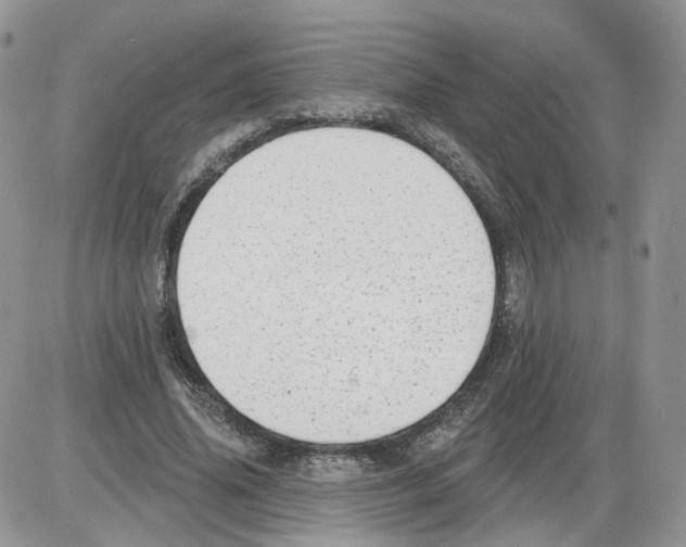 X0000086070636200704202127