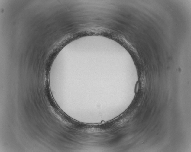 X0000086070637200704202127